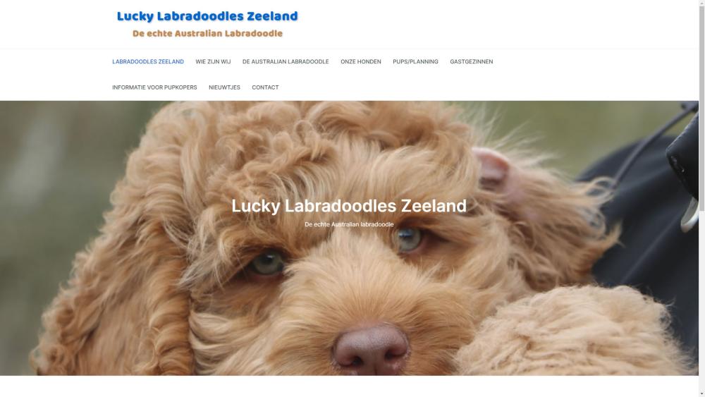 luckylabradoodleszeeland.nl